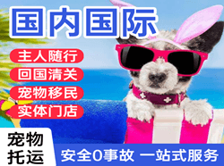 珠海莲洲机场物流国际宠物托运 【国